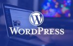 【WP教程】WordPress教程-WordPress美化-全站雪花飘飞或花瓣飘飞效果-吾爱集