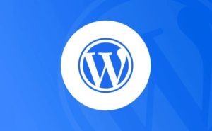 【WP教程】WordPress教程-WordPress美化-网站文章页底部添加「版权声明」二个样式-吾爱集