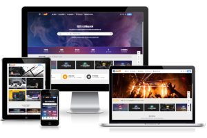 WordPress主题 RiPro-V5 一个优秀的WordPress虚拟资源商城主题 开心版 V7.1.3-吾爱集